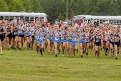 Open XC  (216 of 463)